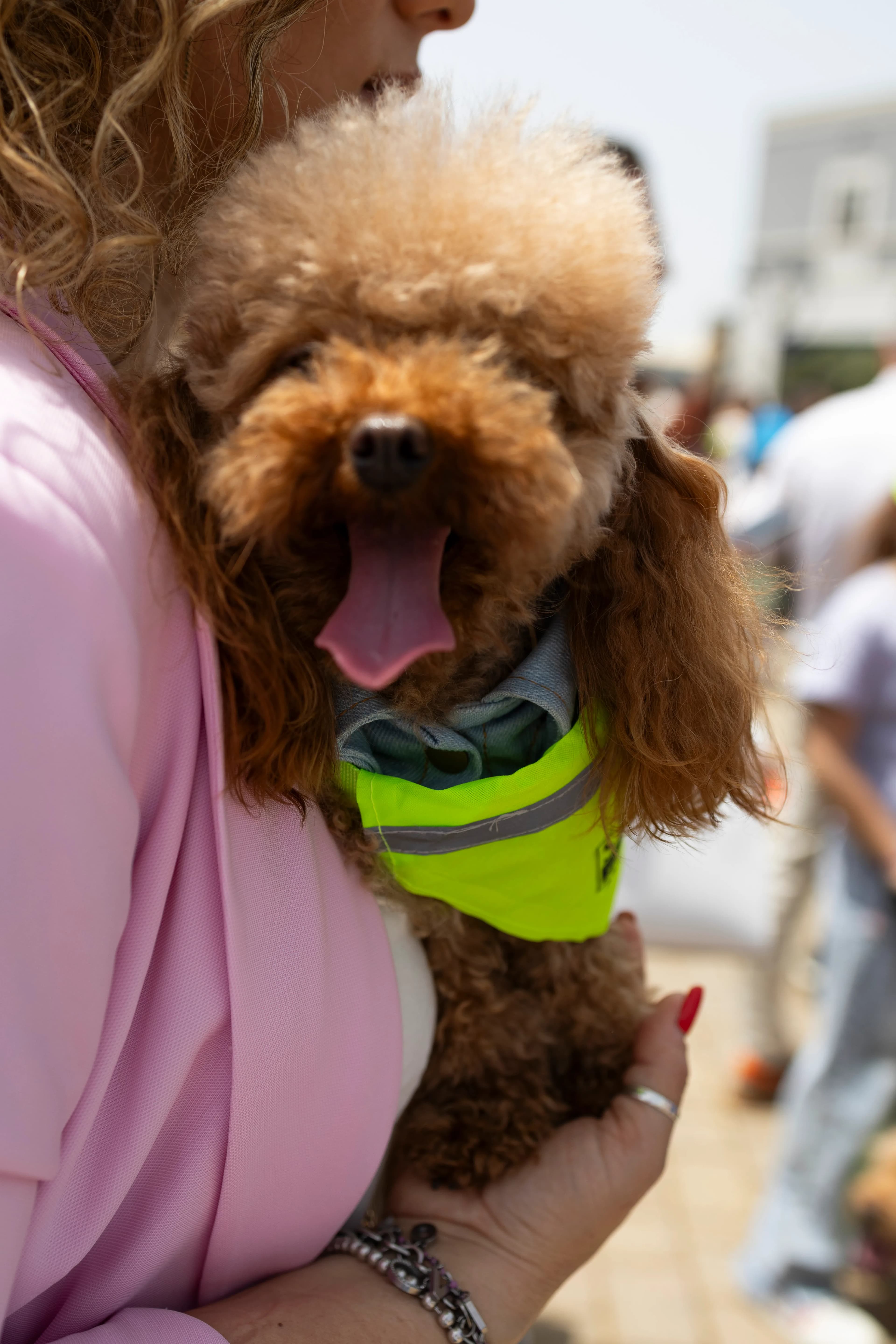Sicilia Outlet Village - Loves DOGS - Talia consulting