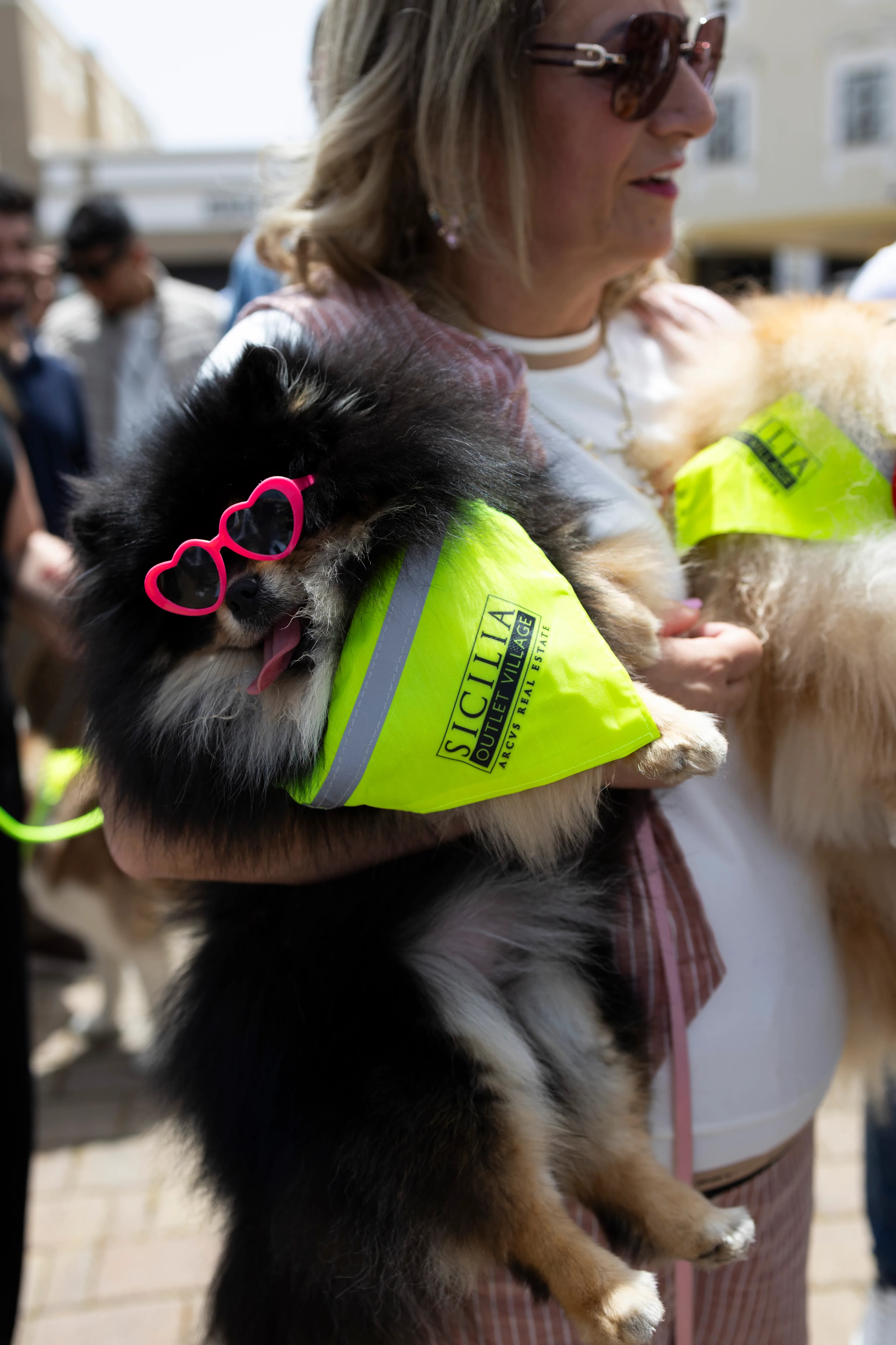Sicilia Outlet Village - Loves DOGS - Talia consulting